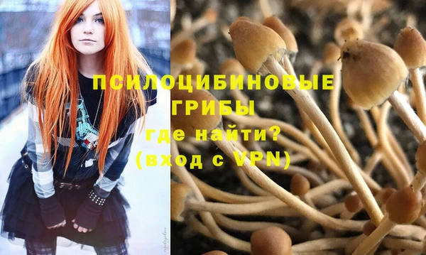 ГАЛЛЮЦИНОГЕННЫЕ ГРИБЫ Кукмор