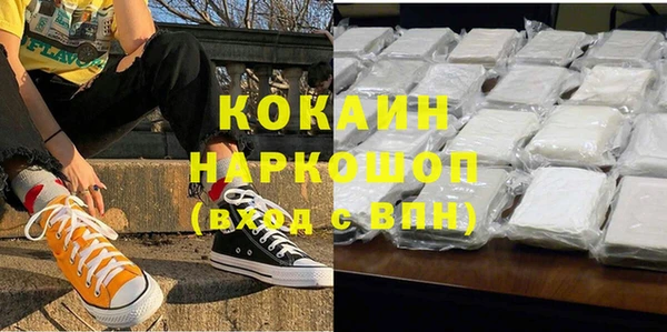 сатива Козловка