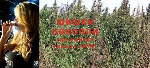 сатива Козловка