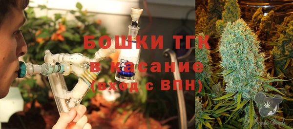 сатива Козловка