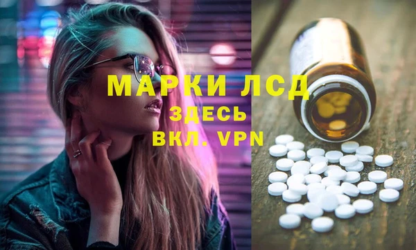 сатива Козловка