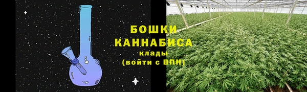 ГАЛЛЮЦИНОГЕННЫЕ ГРИБЫ Кукмор