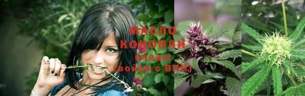 сатива Козловка