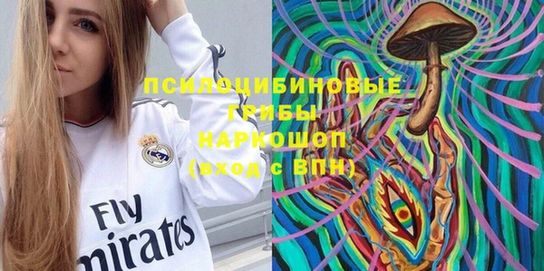 сатива Козловка