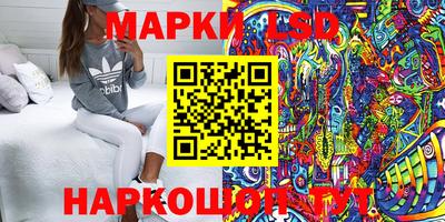 мяу мяу мука Кимры