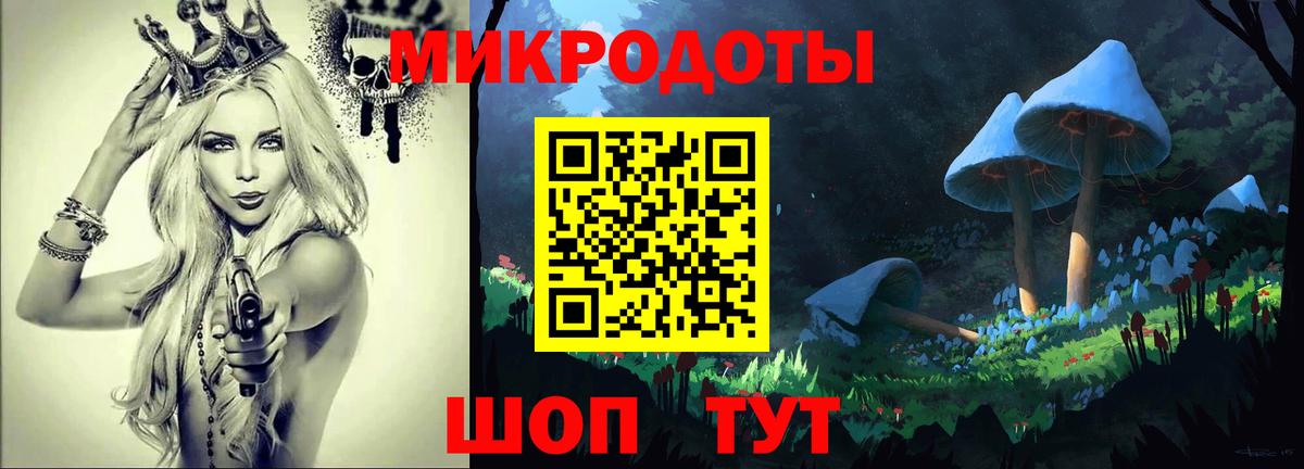 Галлюциногенные грибы мицелий Петрозаводск