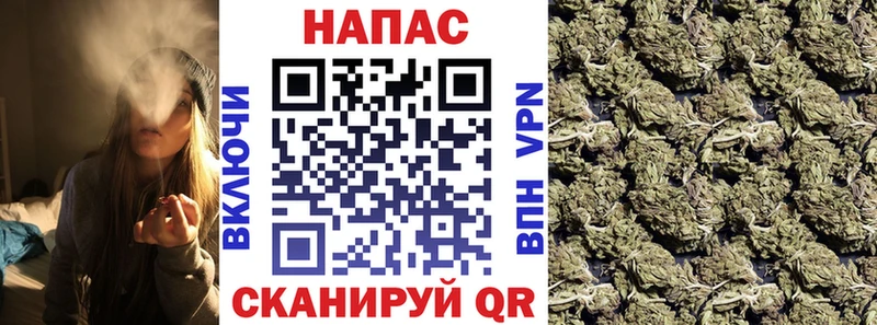 купить наркоту  Петрозаводск  Шишки марихуана планчик 